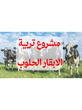 مشروع تربية الأبقار وتصنيع الألبان في حماة